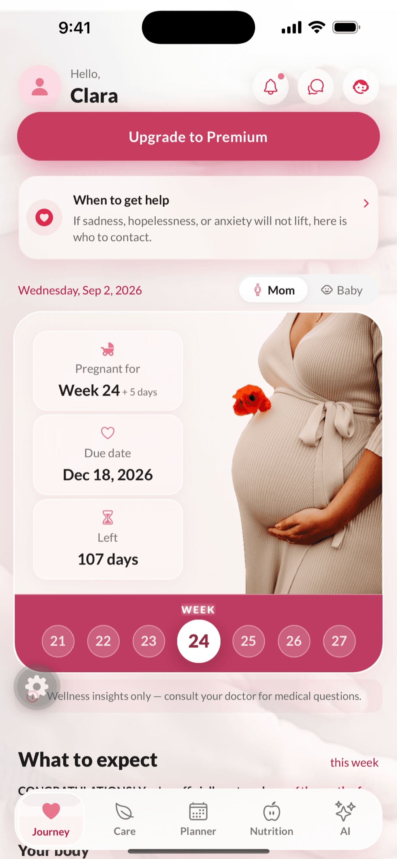Pregnants pregnancy journey home showing week 24, due date, and the weekly pregnancy carousel